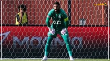 الأفضل في مصر.. تصريح مثير من مدرب حراس بيراميدز بشأن أحمد الشناوي وموقفه من العودة للمنتخب 1